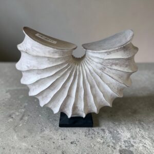 Photoroom 20260326 153534