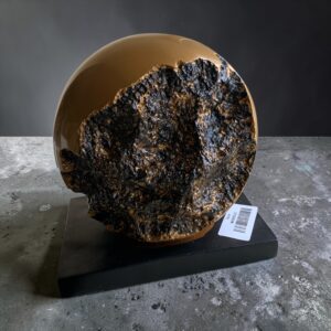 Photoroom 20260326 163437